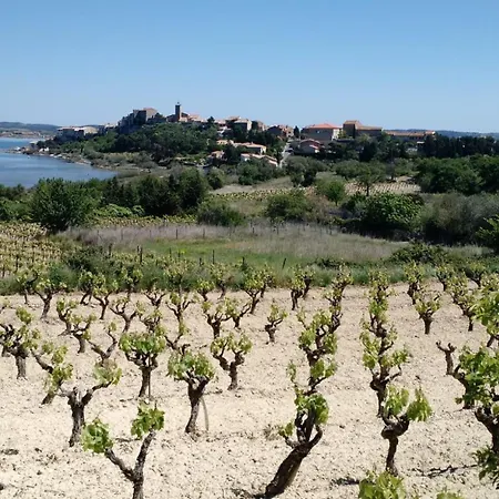 Maison Avec Beaucoup De Caracteres Bages (Aude)