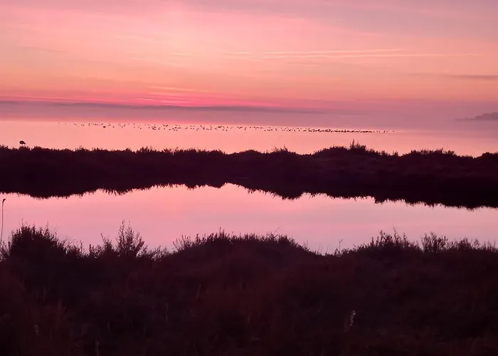 Maison Avec Beaucoup De Caracteres