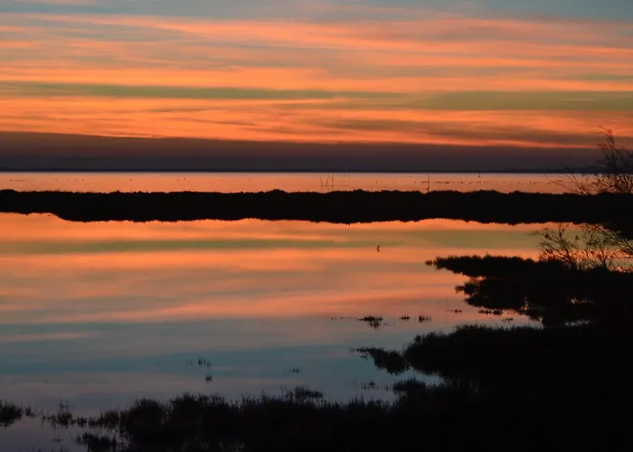 Maison Avec Beaucoup De Caracteres