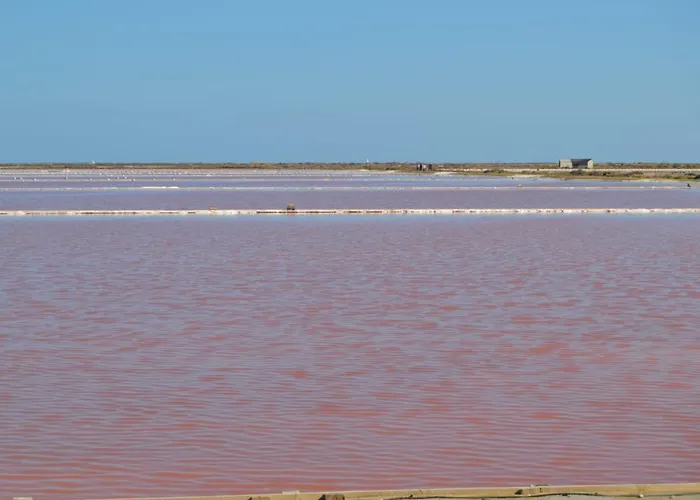 Maison Avec Beaucoup De Caracteres Villa