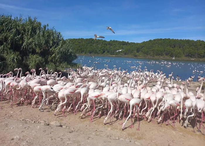Maison Avec Beaucoup De Caracteres Villa *