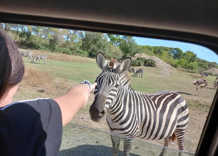 Villa Maison Avec Beaucoup De Caracteres