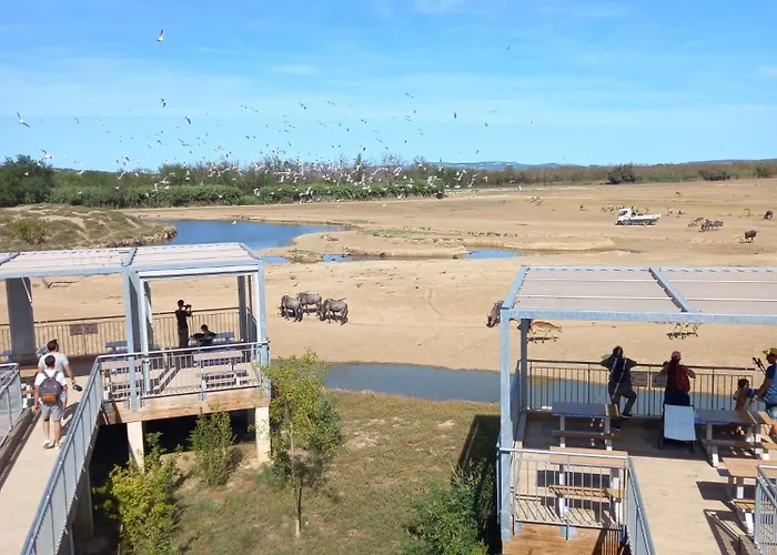 Maison Avec Beaucoup De Caracteres Villa Bages (Aude)